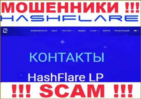 Инфа о юридическом лице internet обманщиков ХэшФлэр ЛП
