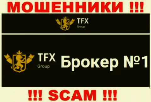 Не нужно доверять вклады TFX-Group Com, т.к. их сфера работы, Forex, капкан