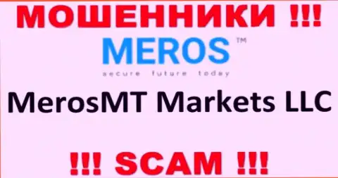Организация, управляющая мошенниками MerosTM - это MerosMT Markets LLC