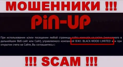 Махинаторы Pin UpCasino принадлежат юридическому лицу - B.W.I. BLACK-WOOD LIMITED