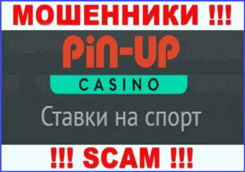 Основная работа Pin Up Casino - это Казино, осторожно, действуют противоправно