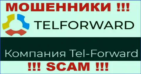 Юридическое лицо TelForward - это Tel-Forward, такую информацию предоставили жулики у себя на web-сервисе