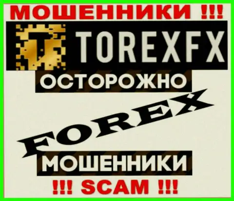 Область деятельности Торекс ФИкс: FOREX - отличный заработок для internet мошенников